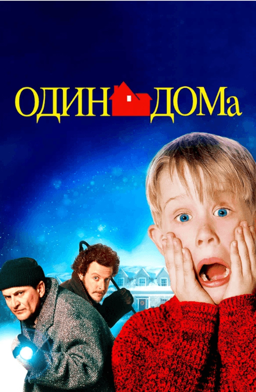 Uyda yolgiz